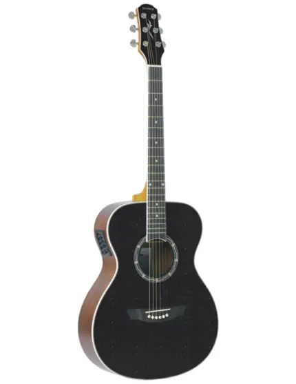VIOLAO STRINBERG CO40 BK CROMO