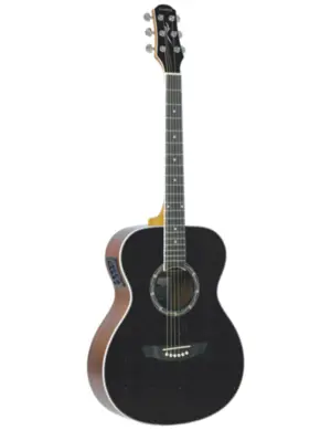 VIOLAO STRINBERG CO40 BK CROMO
