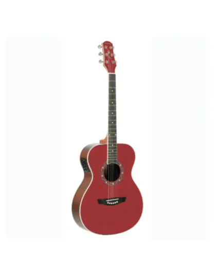 VIOLAO STRINBERG CO40 WR CROMO