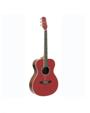 VIOLAO STRINBERG CO40 WR CROMO