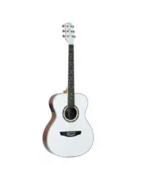 VIOLAO STRINBERG CO40 WH CROMO