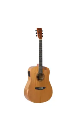 VIOLAO STRINBERG FOREST FS4D HCR MGS FOLK