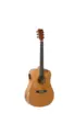 VIOLAO STRINBERG FOREST FS4D HCR MGS FOLK