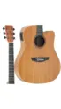 VIOLAO STRINBERG FOREST FS4D HCR MGS FOLK