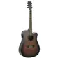 VIOLAO STRINBERG FOREST FS4D TBS FOLK