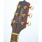 VIOLAO TAKAMINE GD51CE NS & TP4TD FOSCO