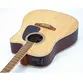 VIOLAO TAKAMINE GD51CE NS & TP4TD FOSCO