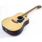 VIOLAO TAKAMINE GD51CE NS & TP4TD FOSCO