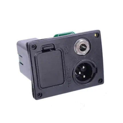 BOX C/ JACK XLR/P10 9V