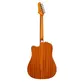 VIOLAO TAGIMA FOLK CUTAWAY EQ ACO T/ SPRUCE SOLIDO B/S SAPELE SWELL DELUXE TQG