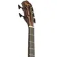 BAIXOLAO TAGIMA 5C CUTAWAY EQ ACO ALL SAPELE NEW ORLEANS GRAND RESERVA DKMOP