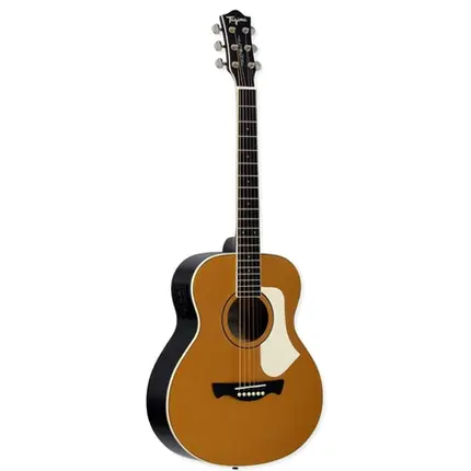VIOLAO TAGIMA GS MINI NON-CUTAWAY EQ ACO T/ SPRUCE B/S AGATHIS LATIN AMERICA PORTENO MGYS