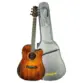 VIOLAO WALDMAN ELETROACUSTICO 6 CORDAS DE ACO C/ CAPA DCEX-1841 FSB W/BAG