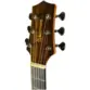 VIOLAO WALDMAN ELETROACUSTICO 6 CORDAS DE ACO C/ CAPA DCEX-1841 FSB W/BAG