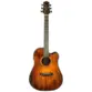 VIOLAO WALDMAN ELETROACUSTICO 6 CORDAS DE ACO C/ CAPA DCEX-1841 FSB W/BAG