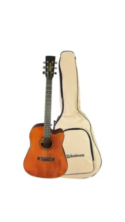 VIOLAO WALDMAN ELETROACUSTICO 6 CORDAS DE ACO C/ CAPA DCEX-1141 AM W/BAG