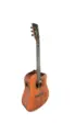 VIOLAO WALDMAN ELETROACUSTICO 6 CORDAS DE ACO C/ CAPA DCEX-1141 AM W/BAG