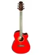 VIOLAO WALDMAN ELETROACUSTICO 6 CORDAS DE ACO C/ CAPA GCEX-1841 RD W/BAG