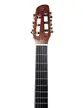 VIOLAO GIANNINI GNF-3 CEQ NG NAILON EL/AC CUTAWAY NATURAL GLOSSY NG
