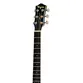 VIOLAO TAGIMA GS MINI NON-CUTAWAY EQ ACO T/ SPRUCE B/S AGATHIS PORTENO NC LH NTABS