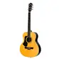 VIOLAO TAGIMA GS MINI NON-CUTAWAY EQ ACO T/ SPRUCE B/S AGATHIS PORTENO NC LH NTABS