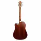VIOLAO GIANNINI DRC DLX CEQ SBG DELUXE ACO EL/AC DR TAMPO MACICO SBG C/ BAG