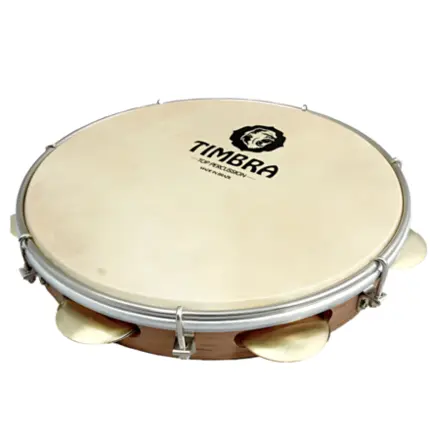 PANDEIRO TIMBRA PROFISSIONAL 10 POL FREIJO PELE ANIMAL C/ 6 PARES DE PLATINELAS E 7 AFINACOES