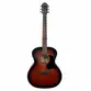 VIOLAO GIANNINI GAF DLX EQ SBS DELUXE ACO EL/AC GA TAMPO MACICO SBS C/ BAG