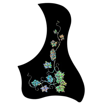 ESCUDO RONSANI RAINBOW - PARREIRA SILVER