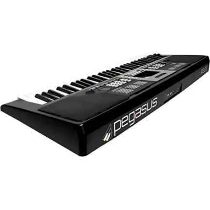 TECLADO PEGASUS P222 PRETO 61 TECLAS - TECLADO PEGASUS P222 PRETO