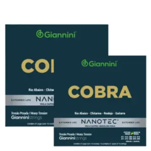 KIT ENCORDOAMENTO GIANNINI GESVNP PN VIOLA NIQUEL PESADO PROTETIVA NANOTEC - 2 UN