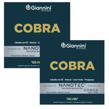 KIT ENCORDOAMENTO GIANNINI GESVNM PN VIOLA NIQUEL TENSAO MEDIA PROTETIVA NANOTEC - 2UN
