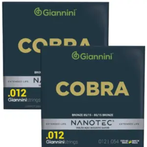 KIT ENCORDOAMENTO GIANNINI GEEFLKS PN VIOLAO BRONZE 85/15 PROTETIVA NANOTEC 0.012 - 2UN