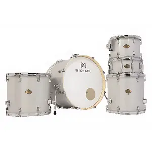 BATERIA MICHAEL 24 DML424 SSR