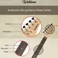 GUITARRA WALDMAN ELETRICA 6 CORDAS ST-111 2TS