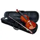 VIOLINO GIANNINI SERIE ARCO 4/4 TAMPO MACICO NATURAL BRILHANTE C/ CASE