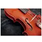 VIOLINO GIANNINI SERIE ARCO 4/4 TAMPO MACICO NATURAL BRILHANTE C/ CASE