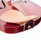 VIOLINO GIANNINI SERIE ARCO 4/4 TAMPO MACICO NATURAL BRILHANTE C/ CASE