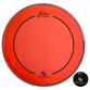 PELE ZELLMER SIGNATURE ALEXANDRE FININHO 18