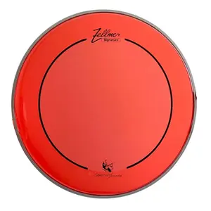 PELE ZELLMER SIGNATURE ALEXANDRE FININHO 12