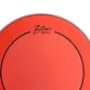 PELE ZELLMER SIGNATURE ALEXANDRE FININHO 12