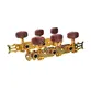 TARRAXA MYTH PINO FINO DOURADA CELULOIDE MARRON HEADSTOCK FURO LATERAL