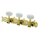 TARRAXA MYTH PINO FINO DOURADA CELULOIDE BRANCO/HEADSTOCK FURO LATERAL