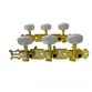 TARRAXA MYTH PINO FINO DOURADA CELULOIDE BRANCO/HEADSTOCK FURO LATERAL