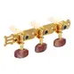 TARRAXA MYTH PINO GROSSO DOURADA CELULOIDE MARRON/HEADSTOCK FURO LATERAL