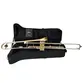 TROMBONE DE PISTO ZELLMER ZSL-800LN AFINACAO BB SIB