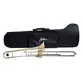 TROMBONE DE PISTO ZELLMER ZSL-800LN AFINACAO BB SIB