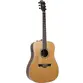 VIOLAO TAGIMA FOLK NON-CUTAWAY EQ ACO T/ RED CEDAR B/S SAPELE TLM-100 NT