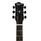 VIOLAO TAGIMA FOLK NON-CUTAWAY EQ ACO T/ RED CEDAR B/S SAPELE TLM-100 NT