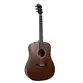 VIOLAO TAGIMA FOLK NON-CUTAWAY EQ ACO T/ RED CEDAR B/S SAPELE TLM-100 NTM